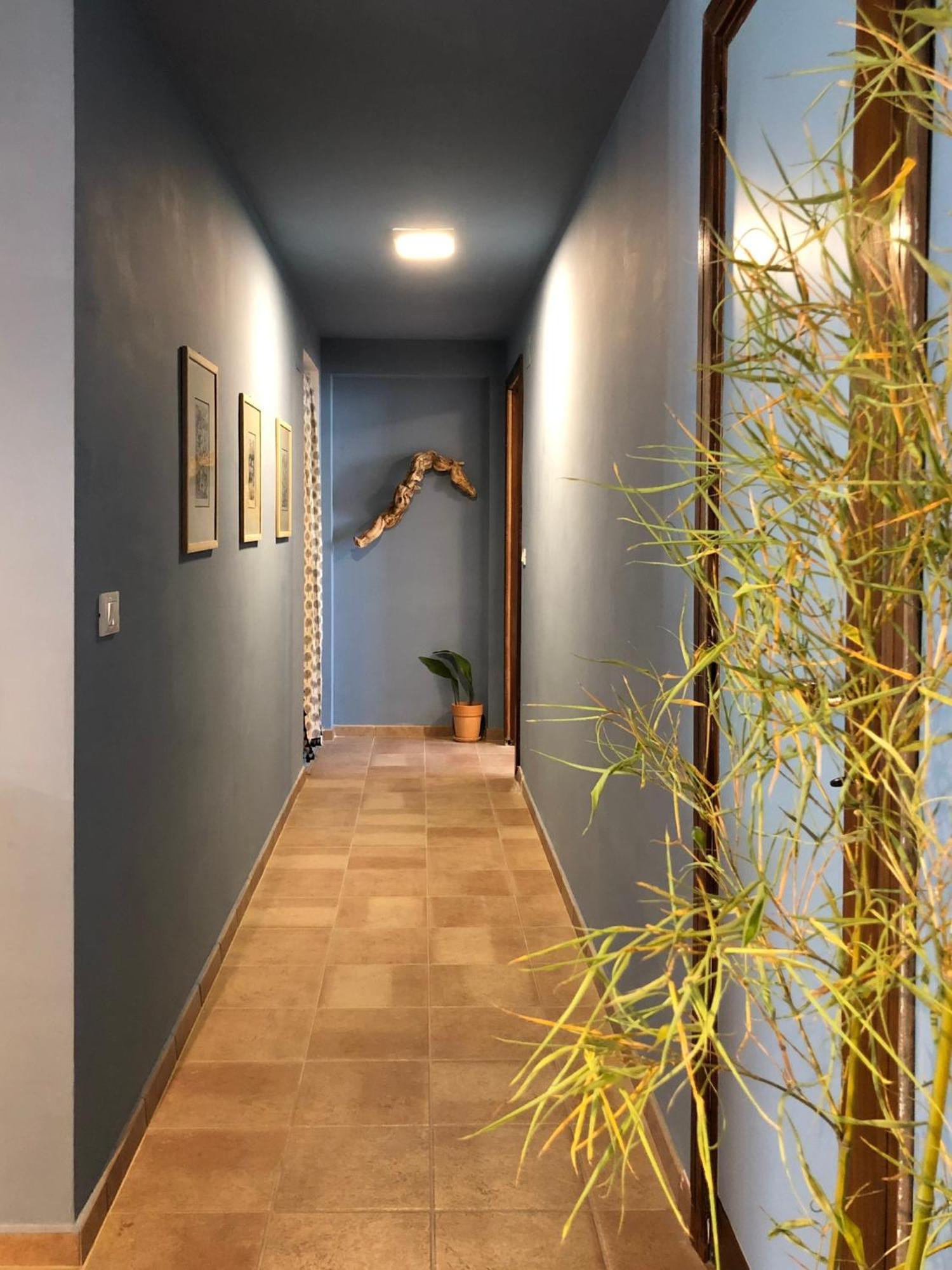 Blue Apricot Apartment Con Jacuzzi Montesilvano Marina Exteriér fotografie